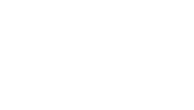 The Berg Group